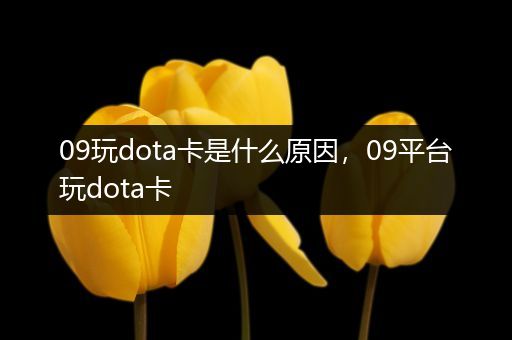 09玩dota卡是什么原因，09平台玩dota卡