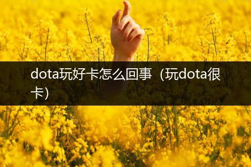 dota玩好卡怎么回事（玩dota很卡）