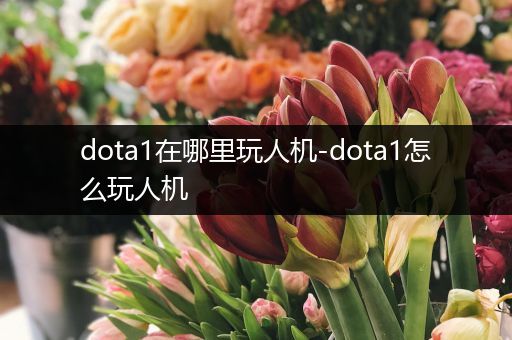 dota1在哪里玩人机-dota1怎么玩人机