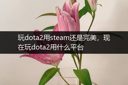 玩dota2用steam还是完美，现在玩dota2用什么平台