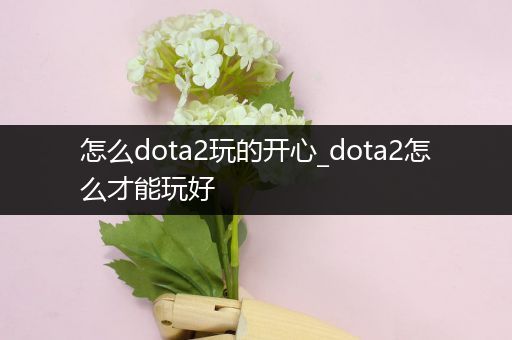 怎么dota2玩的开心_dota2怎么才能玩好