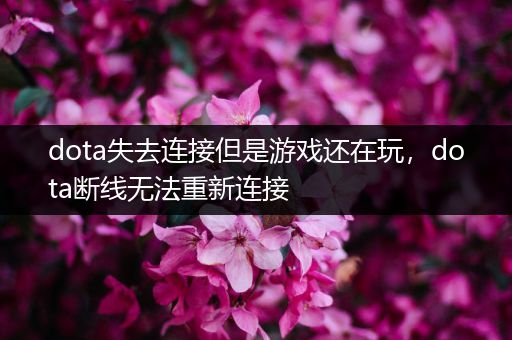 dota失去连接但是游戏还在玩，dota断线无法重新连接