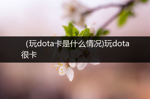 （玩dota卡是什么情况)玩dota很卡