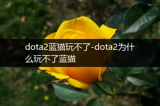 dota2蓝猫玩不了-dota2为什么玩不了蓝猫