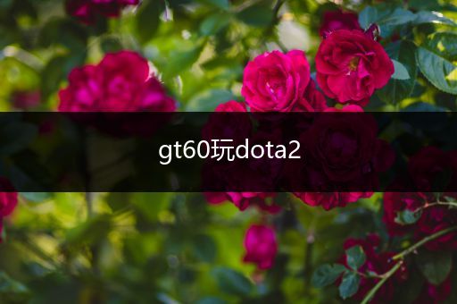 gt60玩dota2