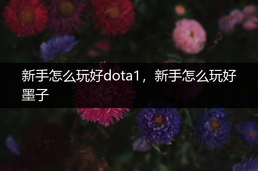 新手怎么玩好dota1，新手怎么玩好墨子