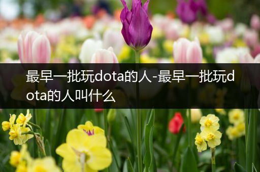 最早一批玩dota的人-最早一批玩dota的人叫什么