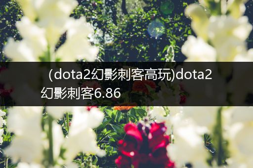 （dota2幻影刺客高玩)dota2幻影刺客6.86