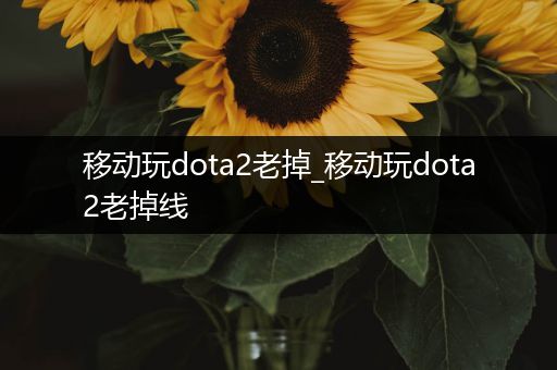 移动玩dota2老掉_移动玩dota2老掉线