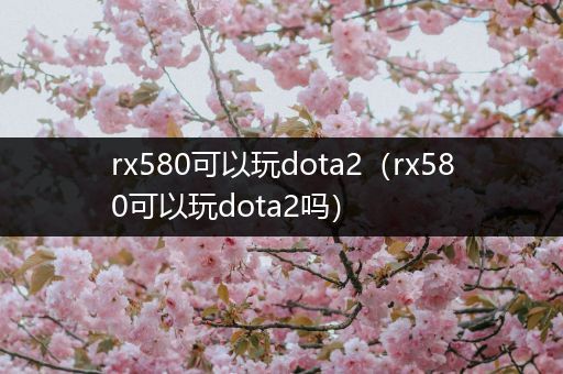 rx580可以玩dota2（rx580可以玩dota2吗）