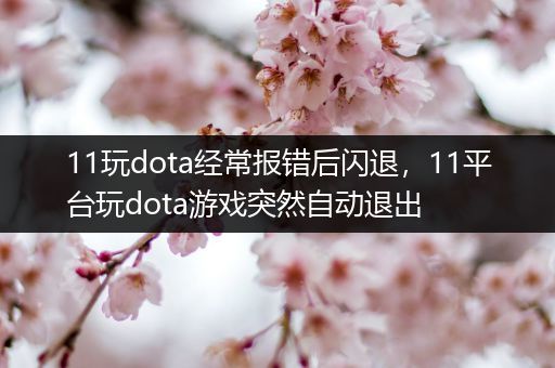 11玩dota经常报错后闪退，11平台玩dota游戏突然自动退出