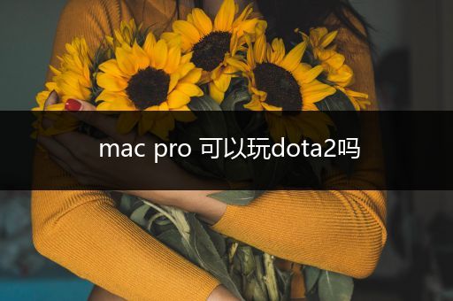 mac pro 可以玩dota2吗