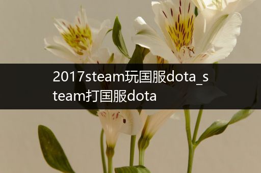 2017steam玩国服dota_steam打国服dota