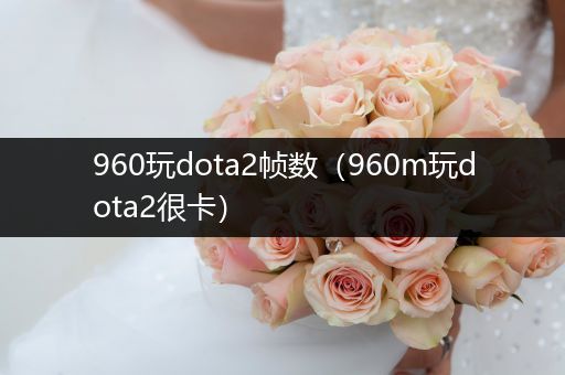 960玩dota2帧数（960m玩dota2很卡）