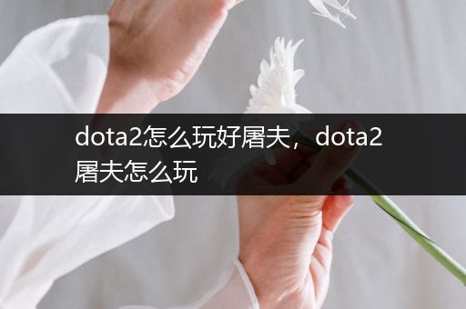 dota2怎么玩好屠夫，dota2 屠夫怎么玩