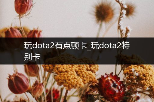 玩dota2有点顿卡_玩dota2特别卡