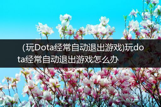 （玩Dota经常自动退出游戏)玩dota经常自动退出游戏怎么办