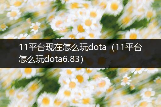 11平台现在怎么玩dota（11平台怎么玩dota6.83）