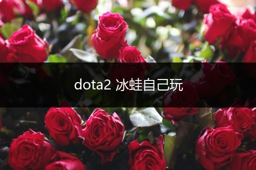 dota2 冰蛙自己玩