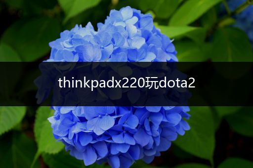 thinkpadx220玩dota2