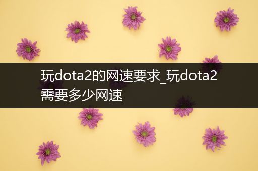 玩dota2的网速要求_玩dota2需要多少网速