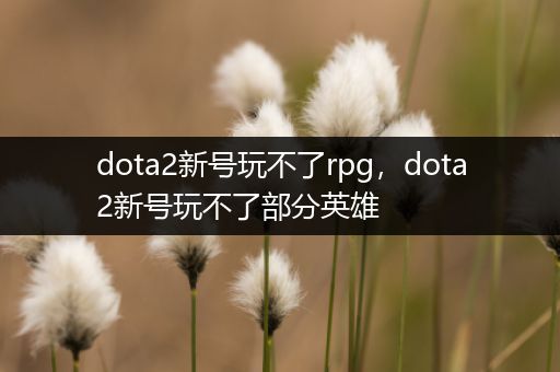 dota2新号玩不了rpg，dota2新号玩不了部分英雄