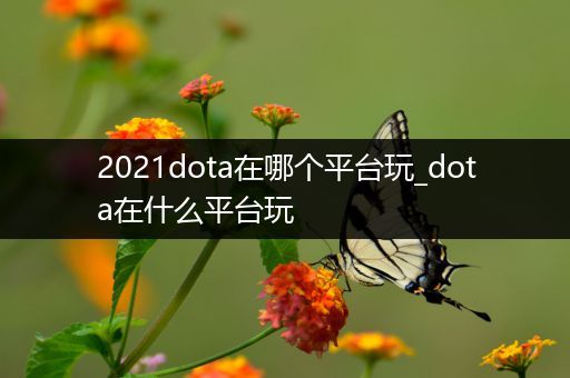 2021dota在哪个平台玩_dota在什么平台玩