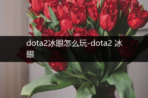 dota2冰眼怎么玩-dota2 冰眼