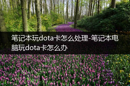 笔记本玩dota卡怎么处理-笔记本电脑玩dota卡怎么办