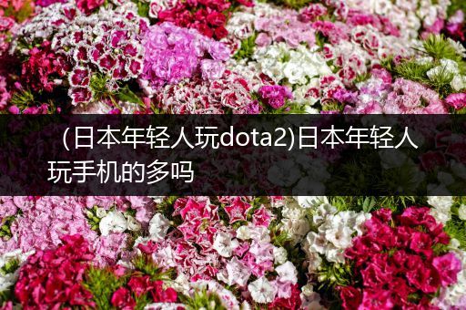 （日本年轻人玩dota2)日本年轻人玩手机的多吗