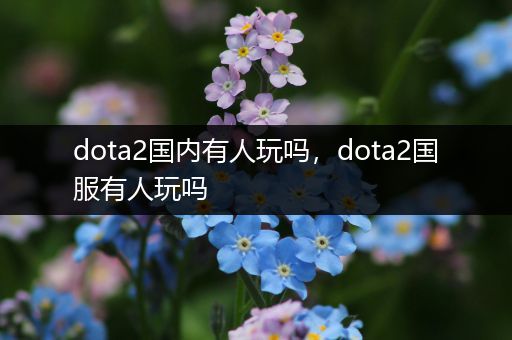 dota2国内有人玩吗，dota2国服有人玩吗