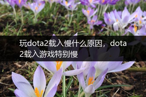 玩dota2载入慢什么原因，dota2载入游戏特别慢