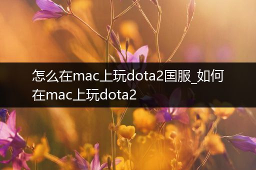 怎么在mac上玩dota2国服_如何在mac上玩dota2