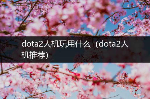 dota2人机玩用什么（dota2人机推荐）