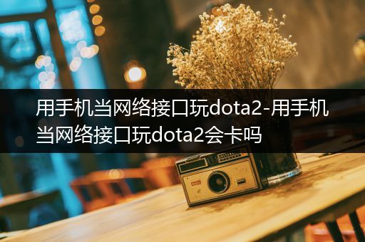 用手机当网络接口玩dota2-用手机当网络接口玩dota2会卡吗