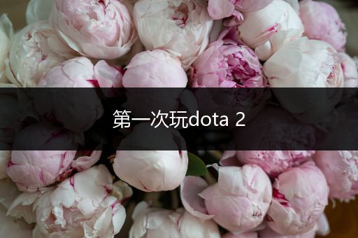 第一次玩dota 2