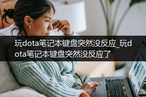 玩dota笔记本键盘突然没反应_玩dota笔记本键盘突然没反应了