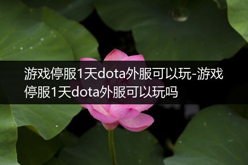 游戏停服1天dota外服可以玩-游戏停服1天dota外服可以玩吗