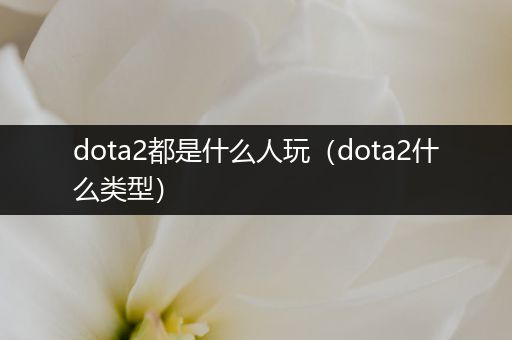 dota2都是什么人玩（dota2什么类型）