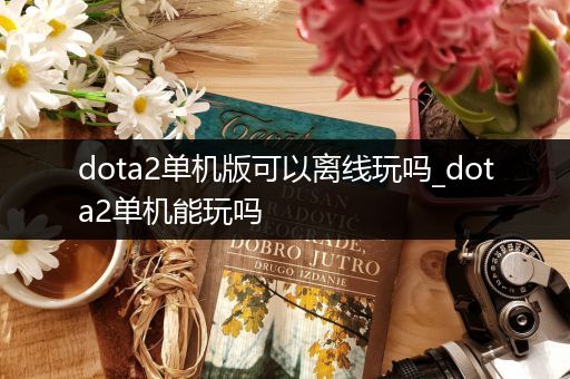 dota2单机版可以离线玩吗_dota2单机能玩吗