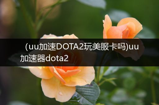 （uu加速DOTA2玩美服卡吗)uu加速器dota2