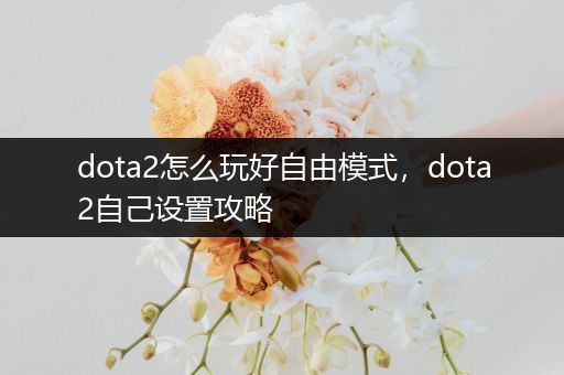 dota2怎么玩好自由模式，dota2自己设置攻略