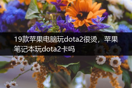 19款苹果电脑玩dota2很烫，苹果笔记本玩dota2卡吗