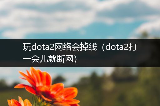 玩dota2网络会掉线（dota2打一会儿就断网）