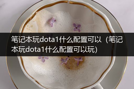 笔记本玩dota1什么配置可以（笔记本玩dota1什么配置可以玩）