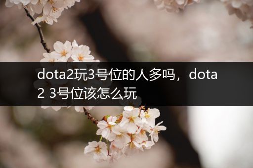 dota2玩3号位的人多吗，dota2 3号位该怎么玩