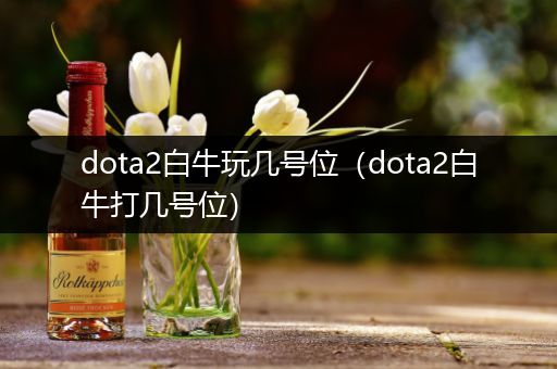 dota2白牛玩几号位（dota2白牛打几号位）