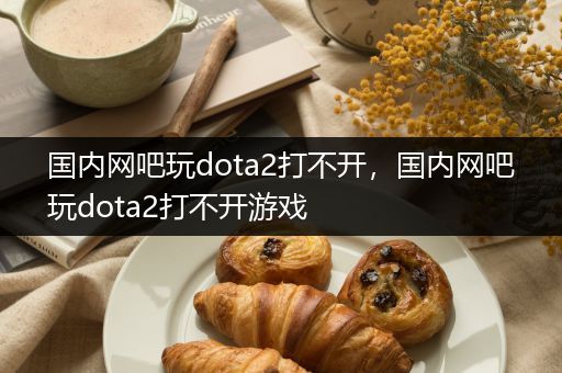 国内网吧玩dota2打不开，国内网吧玩dota2打不开游戏