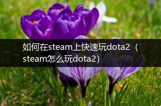 如何在steam上快速玩dota2（steam怎么玩dota2）