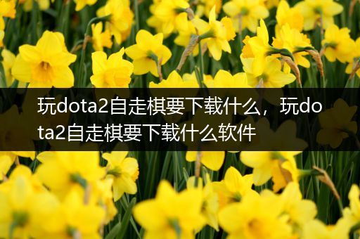 玩dota2自走棋要下载什么，玩dota2自走棋要下载什么软件